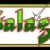 Galaga_arcade_flyer