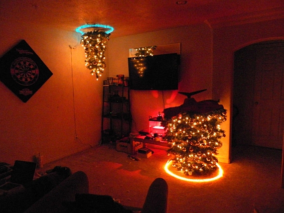 portal tree